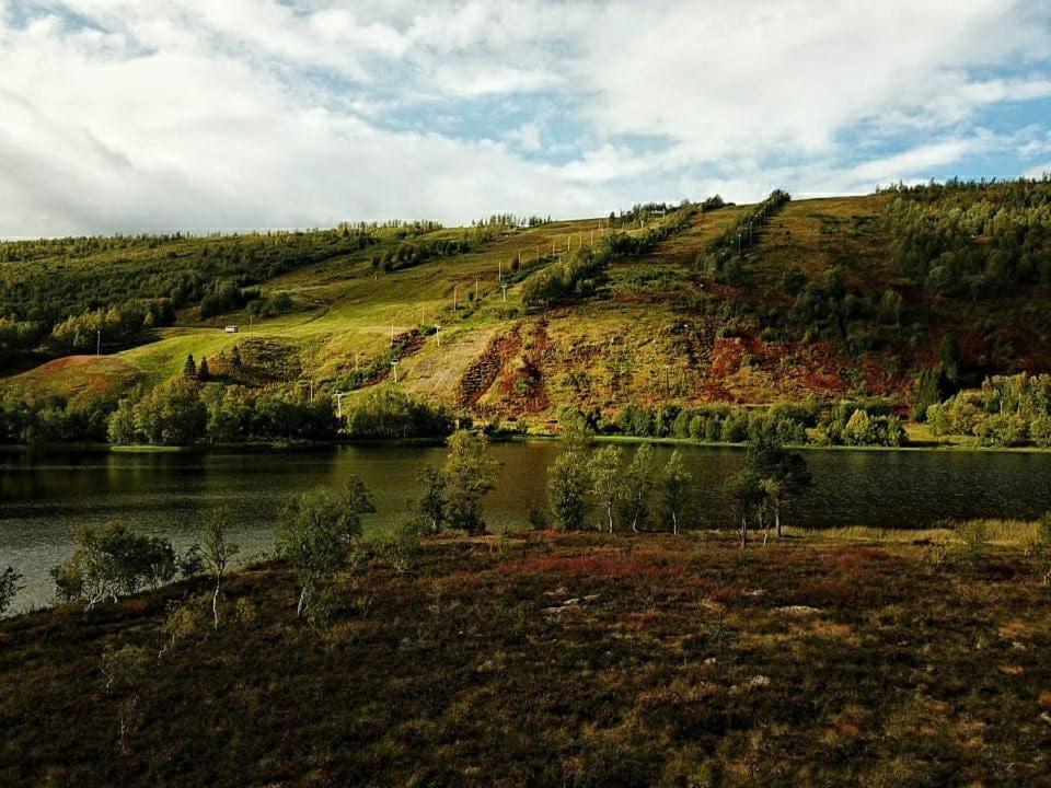 Brekke  Vestvatn - Arctic Cabins מראה חיצוני תמונה